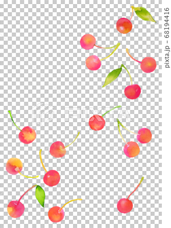 Cherry watercolor 68194416