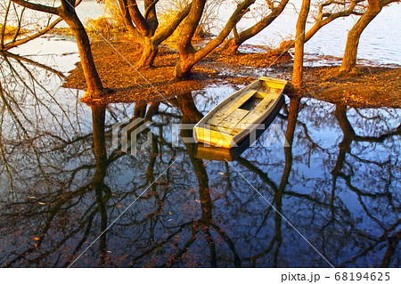 反射 反影 自然 68194625