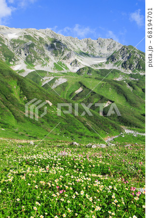 夏の立山　トレッキング 68194701