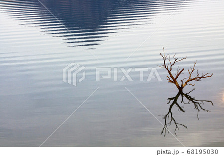 自然 反射 影 68195030