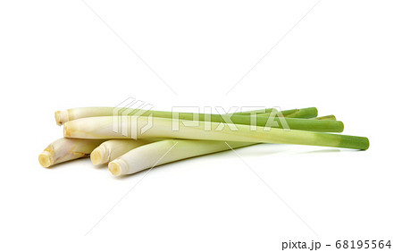 Fresh lemongrass on white background 68195564