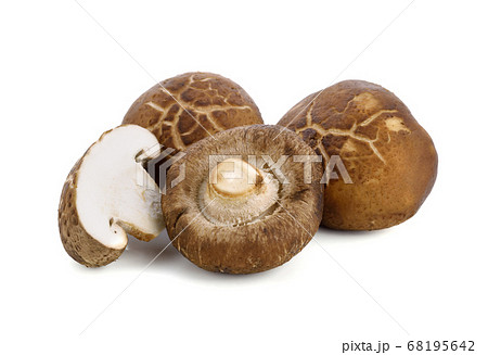 Shiitake Mushrooms isolated on white background 68195642