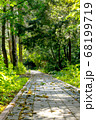 Paths and benches in the park, benches for relaxing in the summer. 68199719