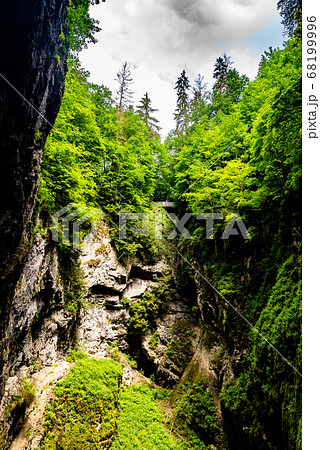 Macocha Abyss - large limestone gorge in Moravian Karst, Czech: Moravsky Kras, Czech Republic. View from bottom. 68199996
