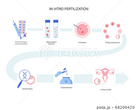 Human fertility concept 68200429