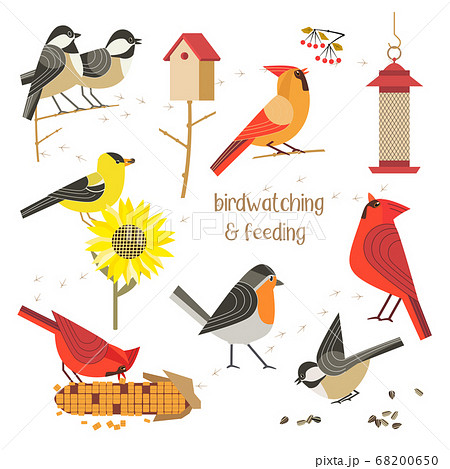 Bird watching feeding vector icons collection Bird watching feeding vector icons collection 68200650