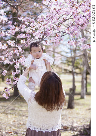 桜の木の下の親子 桜の木の下の親子 68202531