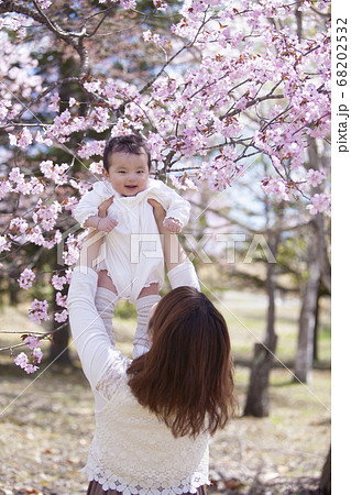 桜の木の下の親子 桜の木の下の親子 68202532