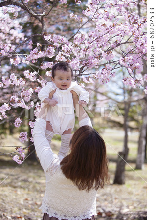 桜の木の下の親子 68202533