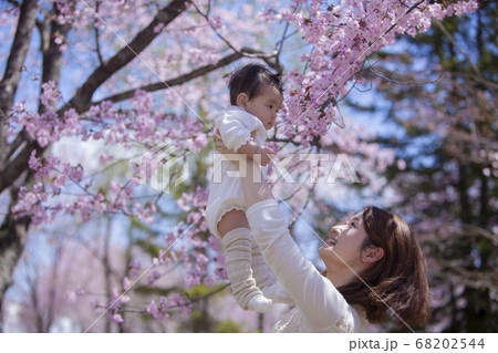 桜の木の下の親子 桜の木の下の親子 68202544