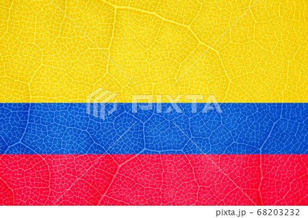 flag of Colombia on the structure of a tree leaf macro flag of Colombia on the structure of a tree leaf macro 68203232