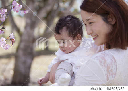 桜の木の下の親子 桜の木の下の親子 68203322