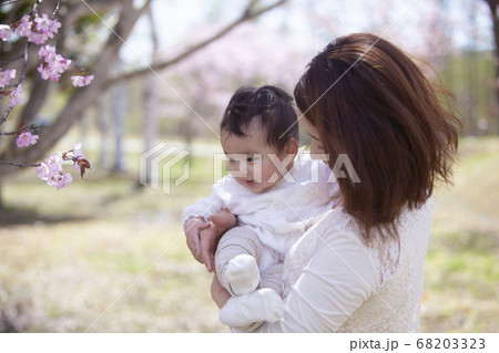 桜の木の下の親子 68203323