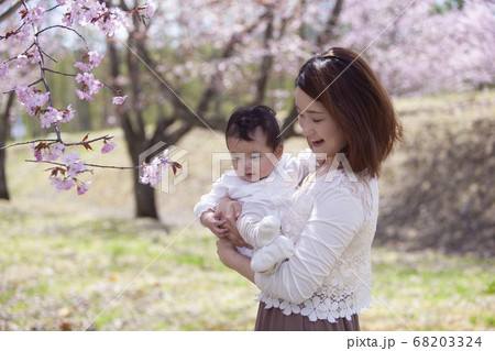 桜の木の下の親子 桜の木の下の親子 68203324