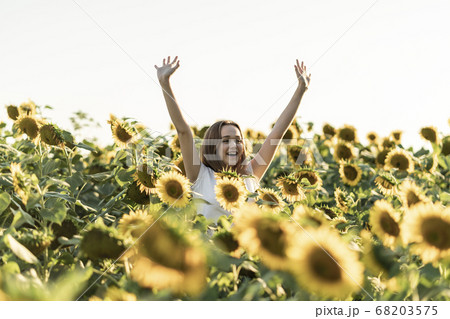Young beautiful woman in a sunflower field on a beautiful summer day. Young beautiful woman in a sunflower field on a beautiful summer day. 68203575