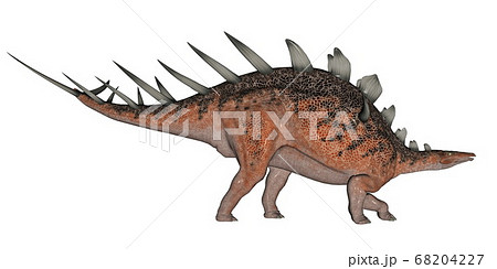 Kentrosaurus dinosaur Kentrosaurus dinosaur 68204227