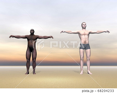 Modern human and homo erectus - 3D render 68204233