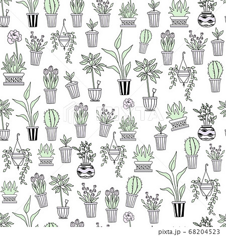 Template. Seamless pattern of indoor plants in pots on a white background. Flowers, tulips, cactus and seedlings in geometric vases. The concept of home, garden, interior and design. Vector 68204523