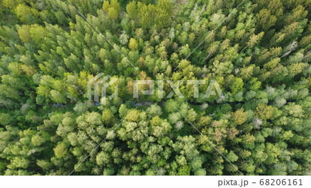 view of the green forest from above, aerial photography view of the green forest from above, aerial photography 68206161