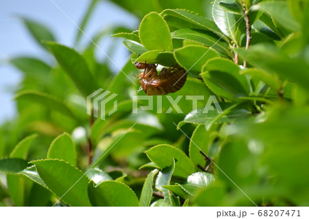山田池公園 山田池公園 68207471