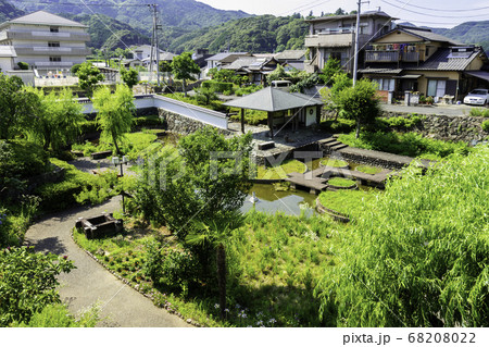大洲城下町　大洲城　内堀菖蒲園　愛媛県大洲市 68208022