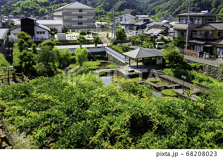 大洲城下町　大洲城　内堀菖蒲園　愛媛県大洲市 68208023