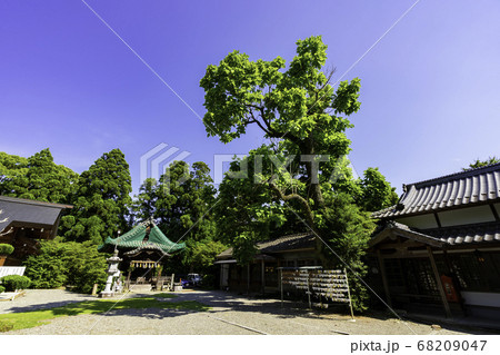 大洲城下町 大洲神社 愛媛県大洲市 大洲城下町 大洲神社 愛媛県大洲市 68209047