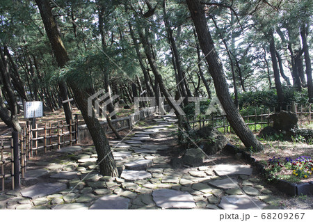 沼津市御用邸記念公園 沼津市御用邸記念公園 68209267
