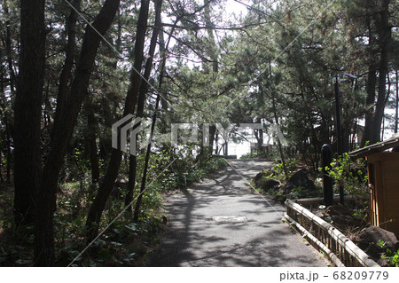 沼津市御用邸記念公園 沼津市御用邸記念公園 68209779