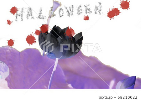ハロウィーン　紫の花　華 68210022