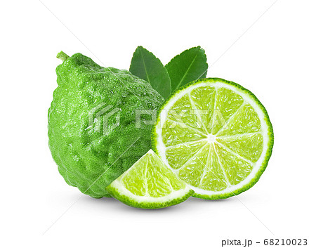 bergamot or kaffir on white background bergamot or kaffir on white background 68210023