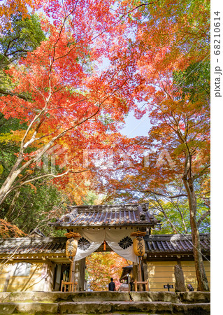 滋賀県 錦秋の永源寺の総門 滋賀県 錦秋の永源寺の総門 68210614