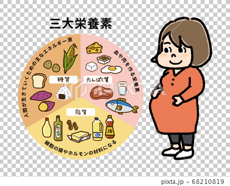 三大栄養素の表とお腹を抱えた妊婦さんのイラストのイラスト素材