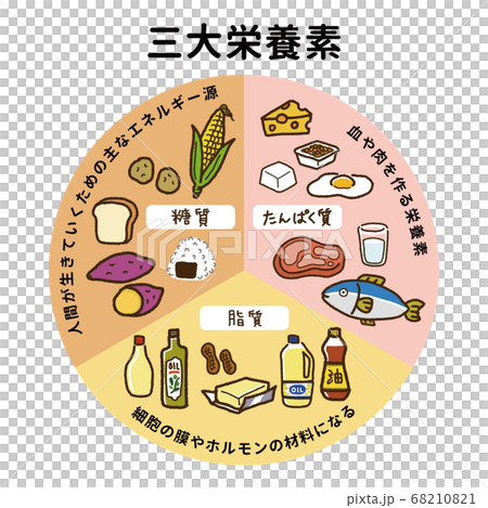 食育のイラストシート 三大栄養素 栄養 - 趣味/おもちゃ