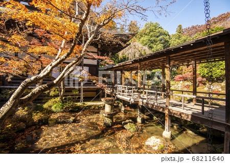 紅葉が美しい秋の恵林寺 紅葉が美しい秋の恵林寺 68211640
