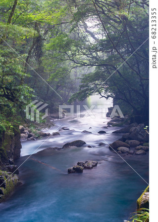 盛夏の菊池に流れる川に涼を求める 68213355