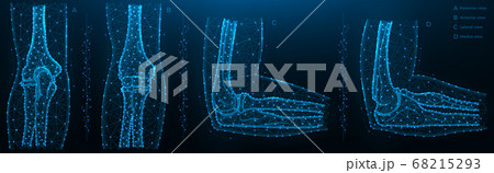 Blue polygonal illustration of the elbow joint, Blue polygonal illustration of the elbow joint, 68215293