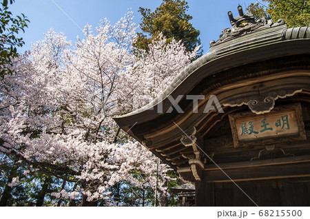 桜が映える春の恵林寺の写真素材