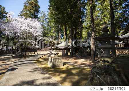 桜が映える春の恵林寺 桜が映える春の恵林寺 68215501