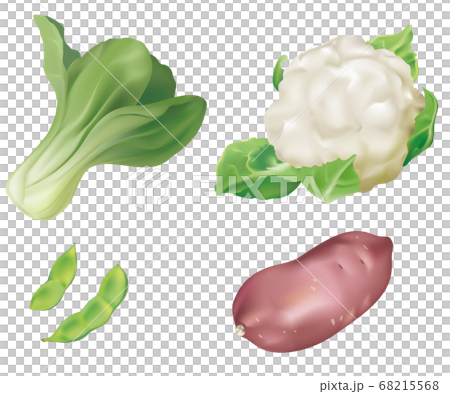 野菜イラスト_チンゲンサイ_カリフラワー_枝豆_さつまいも 68215568