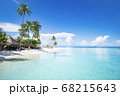 南国のビーチ　快晴の青空とヤシの木 68215643