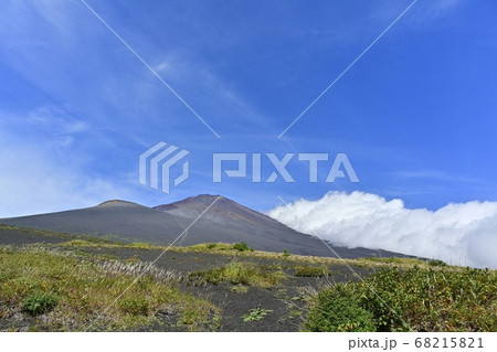 富士山二ツ塚ハイキングコースに咲くフジアザミの花に宝永山と山頂に斜面を湧き上がる雲 富士山二ツ塚ハイキングコースに咲くフジアザミの花に宝永山と山頂に斜面を湧き上がる雲 68215821