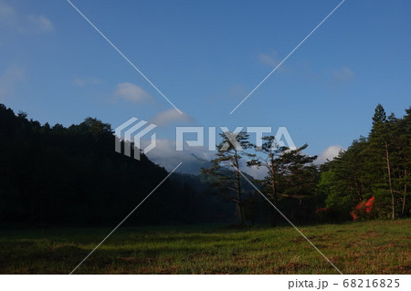 早朝の黒澤湿原 68216825