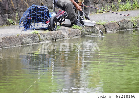 ヘラブナ釣り 68218166