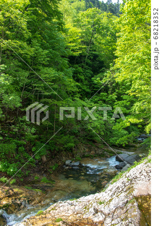 照葉峡 奥利根 群馬県みなかみ町 照葉峡 奥利根 群馬県みなかみ町 68218352