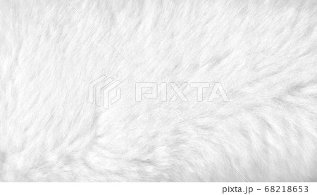 White fur background close up view. Banner White fur background close up view. Banner 68218653