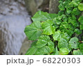植物 工場 プランツ 68220303