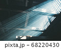 格子からの木漏れ日 68220430