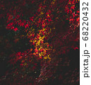 紅葉のグラデーション 68220432