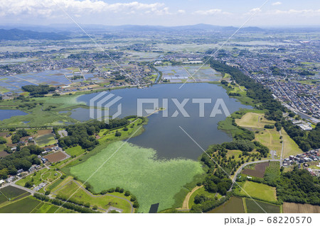 多々良沼 68220570